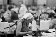 Skan Negatywu, Sygnatura 3264