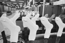 Skan Negatywu, Sygnatura 3264