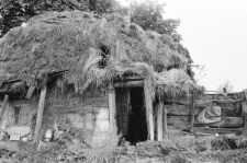 Skan negatywu, sygnatura 3397