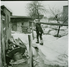 Skan negatywu, Sygnatura 84