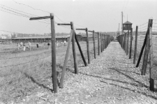 Skan negatywu, sygnatura 3405