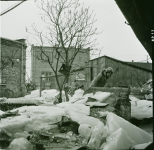 Skan negatywu, Sygnatura 84