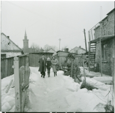 Skan negatywu, Sygnatura 84