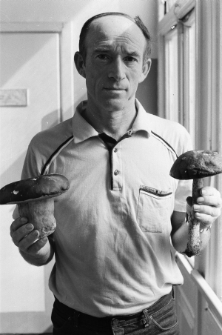 Skan negatywu, sygnatura 3409