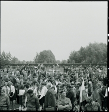 Skan negatywu, Sygnatura 810