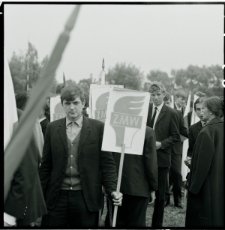 Skan negatywu, Sygnatura 810