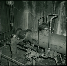 Skan Negatywu, 1 - 12 Koncert z lilijką