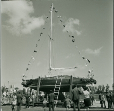 Skan negatywu, Sygnatura 989