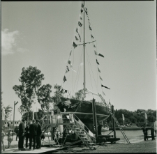 Skan negatywu, Sygnatura 989