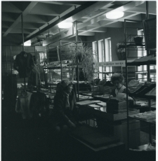 Skan Negatywu, Sygnatura 2515