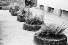 Skan negatywu, sygnatura 3213