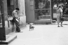 Skan negatywu, sygnatura 3213