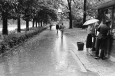 Skan negatywu, sygnatura 3370