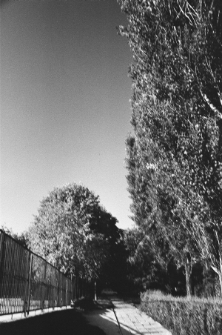 Skan negatywu, sygnatura 1923