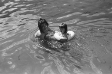 Skan negatywu, sygnatura 1924