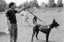 Skan negatywu, sygnatura 3381