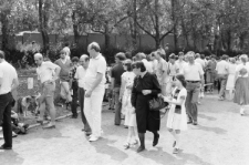 Skan negatywu, sygnatura 3381