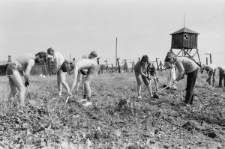 Skan negatywu, sygnatura 3394