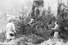 Skan Negatywu, Sygantura 2912