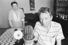 Kaktus - Kr&oacute;lowa jednej nocy