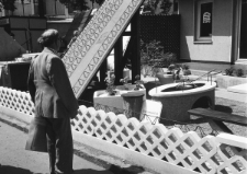 Skan Negatywu, Sygantura 3237