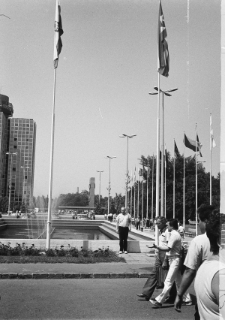 Skan Negatywu, Sygantura 3237