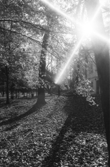 Skan Negatywu, Sygantura 6807