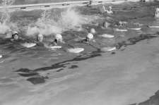 Skan negatywu, sygnatura 3233