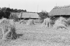 Skan negatywu, sygnatura 3383