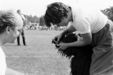 Skan negatywu, sygnatura 3385