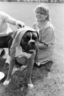 Skan negatywu, sygnatura 3385