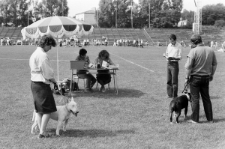 Skan negatywu, sygnatura 3385