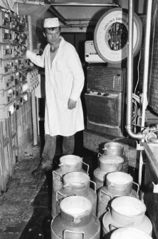 Skan negatywu, sygnatura 3404