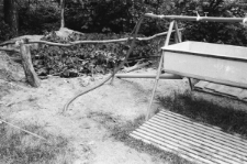 Skan negatywu, sygnatura 1958