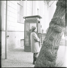 Skan negatywu, Sygnatura 231