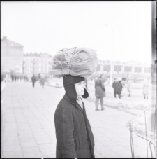 Skan negatywu, Sygnatura 231