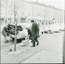 Skan negatywu, Sygnatura 231