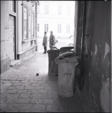 Skan negatywu, Sygnatura 231