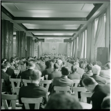 Skan negatywu, Sygnatura 335