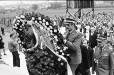 Skan Negatywu, Sygnatura 1882