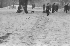 Skan Negatywu, Sygantura 2932