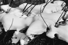 Skan Negatywu, Sygantura 2970