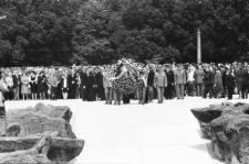 Skan Negatywu, Sygnatura 1885