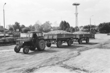 Skan Negatywu, Sygnatura 2005