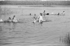 Skan negatywu, sygnatura 3412