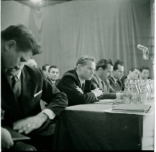 Skan negatywu, Sygnatura 335