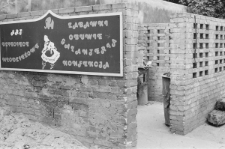 Skan negatywu, sygnatura 1952