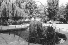 Skan negatywu, sygnatura 1952