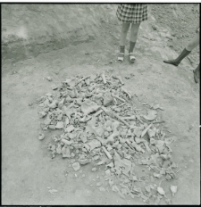 Skan negatywu, Sygnatura 604