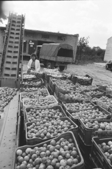 Skan Negatywu, Sygantura 3432